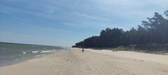 IMG_20240625_104479.jpg