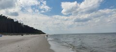 IMG_20240615_133745.jpg