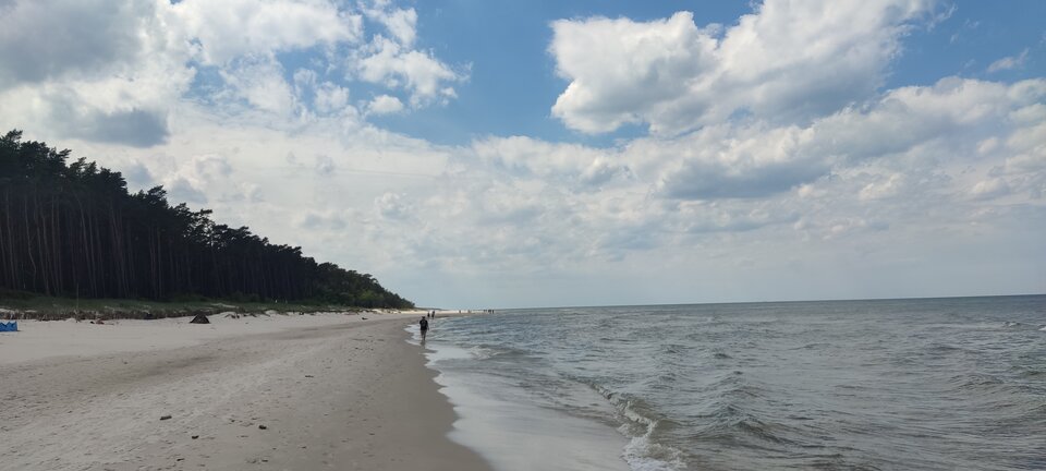 IMG_20240615_133745.jpg - edytkaandrzej