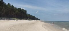IMG_20240615_112124.jpg