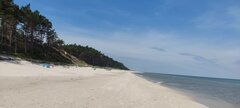 IMG_20240615_104444.jpg