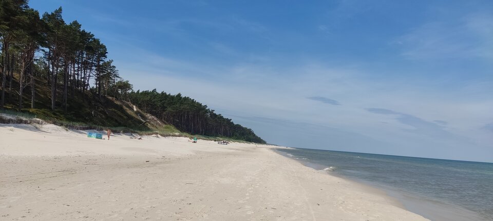 IMG_20240615_104444.jpg - edytkaandrzej