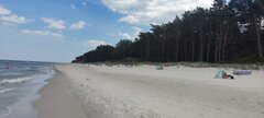 IMG_20240615_133752.jpg