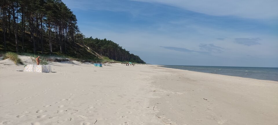 IMG_20240615_102755.jpg - edytkaandrzej