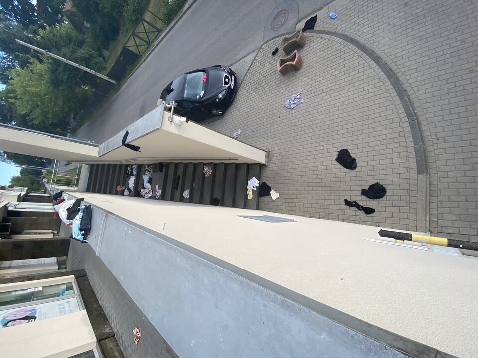 IMG_5930.jpeg - BoskiRafaello