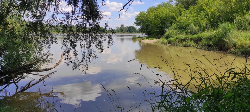 KD 15.06.2024 - ParaKatharsis