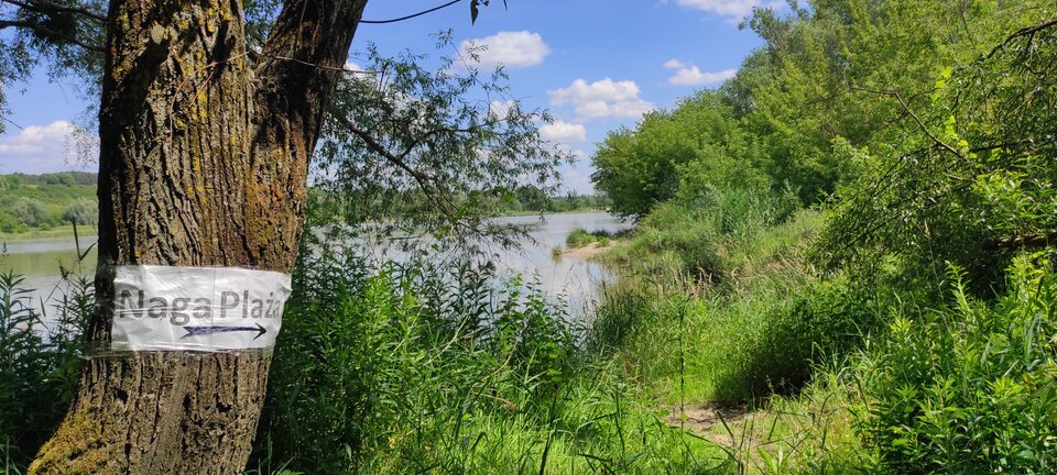 KD 15.06.2024 - ParaKatharsis