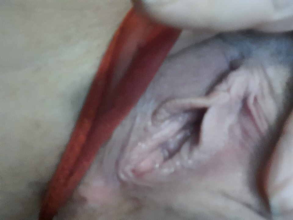 358f08d8-a8ea-4b2a-8146-d64de1f73d8a-1_all_40948.jpg - Lukasane