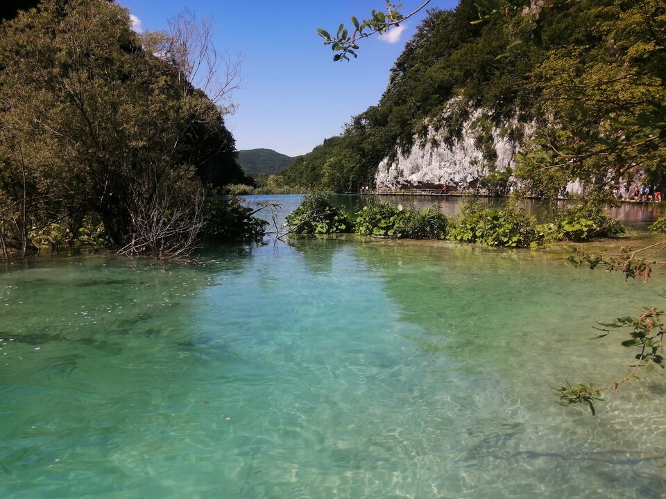 IMG_20240615_151144.jpg - Solbi