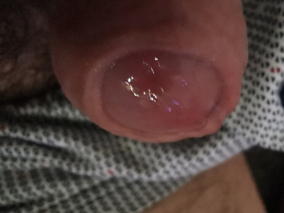 IMG_20240616_093052.jpg - Zi0001