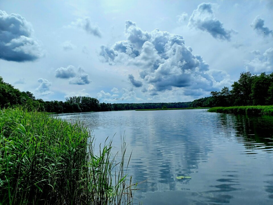 20240616_113007.jpg - Skorpion750