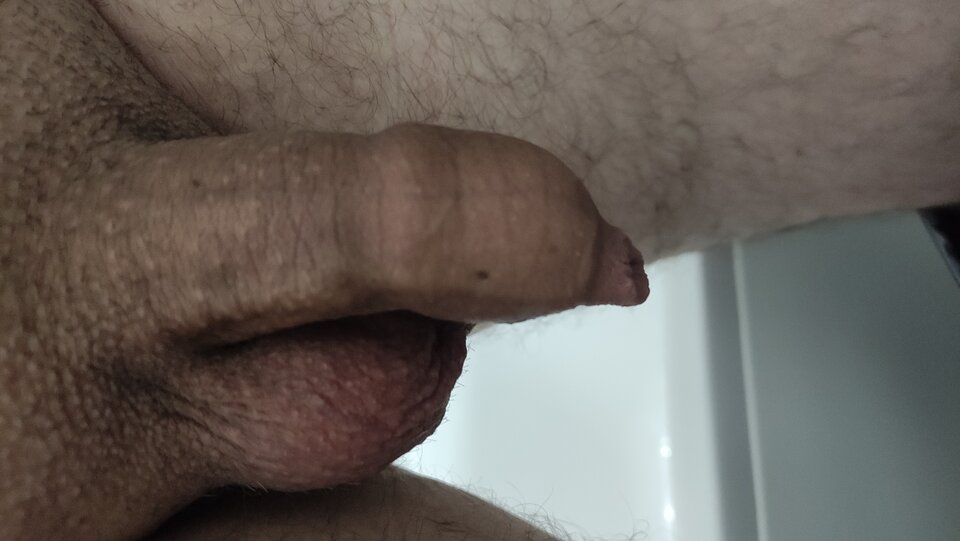 IMG_20240616_154333.jpg - Kriss7788