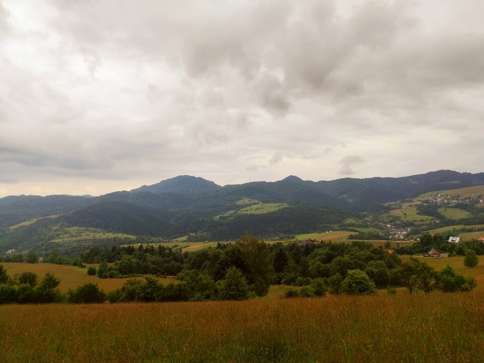 17185485810513110989877023515337.jpg - NicponieFest