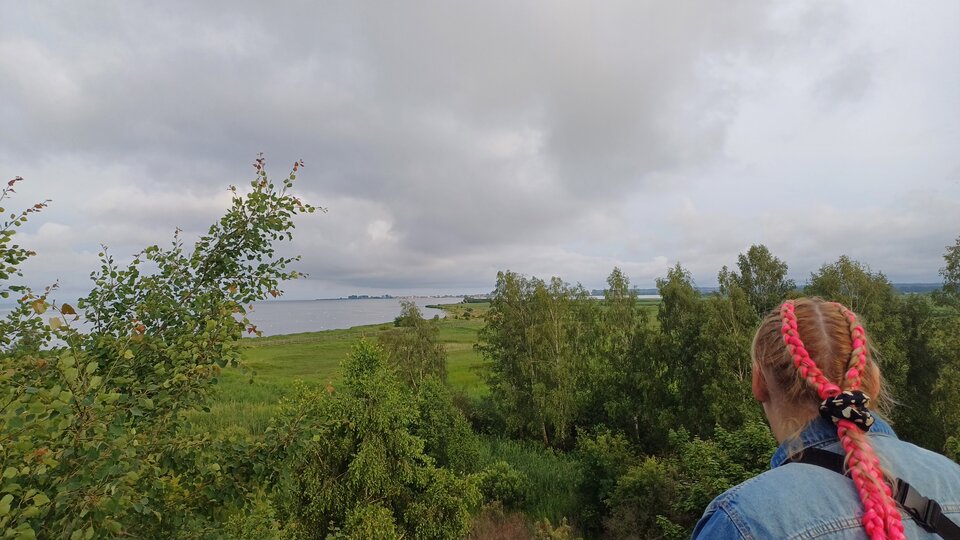 1000001100.jpg - Reksiki