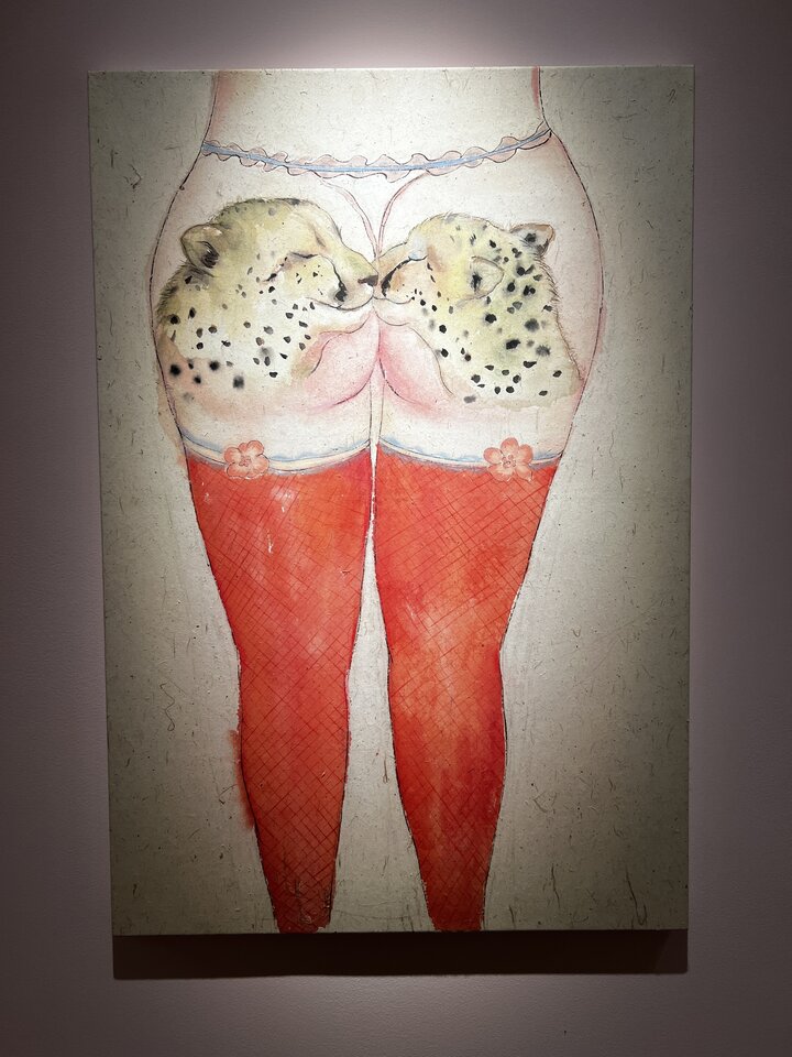 IMG_7546.jpeg - Capdowi