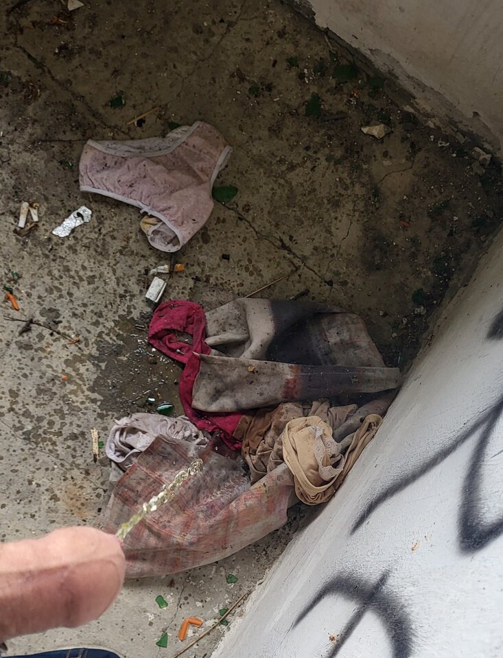 20240617_093255.jpg - BESTIALITY