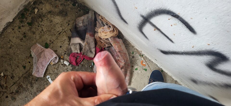 20240617_093309.jpg - BESTIALITY