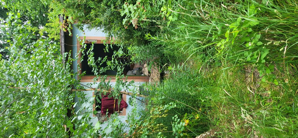 20240617_091954.jpg - BESTIALITY