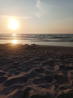 IMG_20240601_202528.jpg