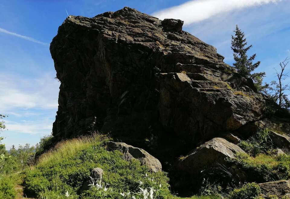 IMG_20240615_101128_edit_482447742427420.jpg - shadow6999