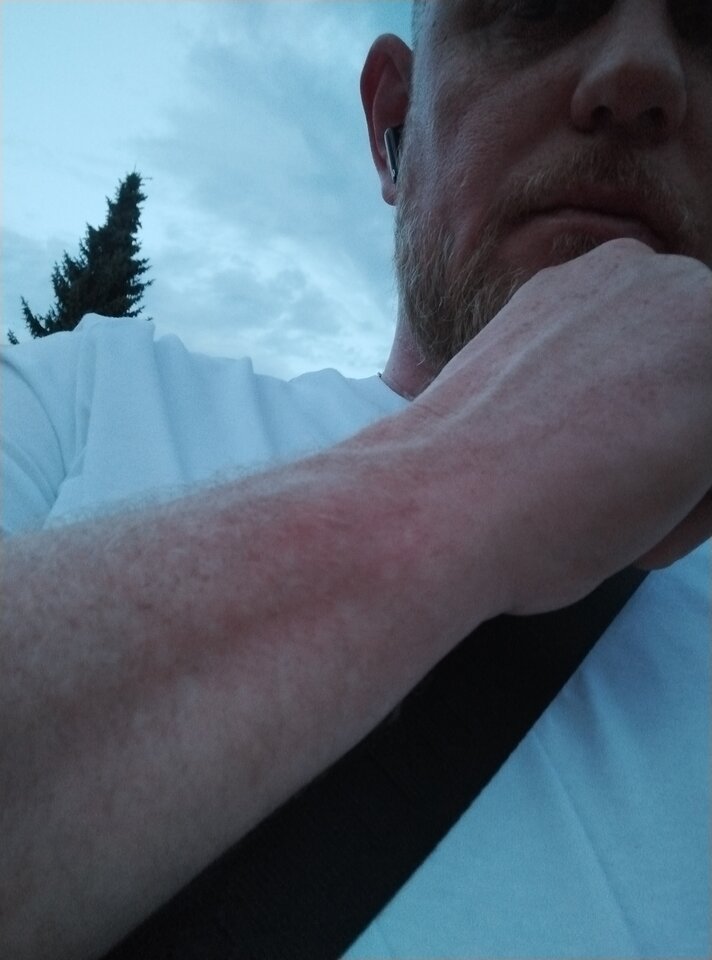 IMG_20240617_211154.jpg - Zwariowany8515