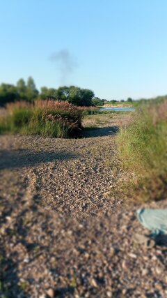 IMG_20240617_191633_7.jpg
