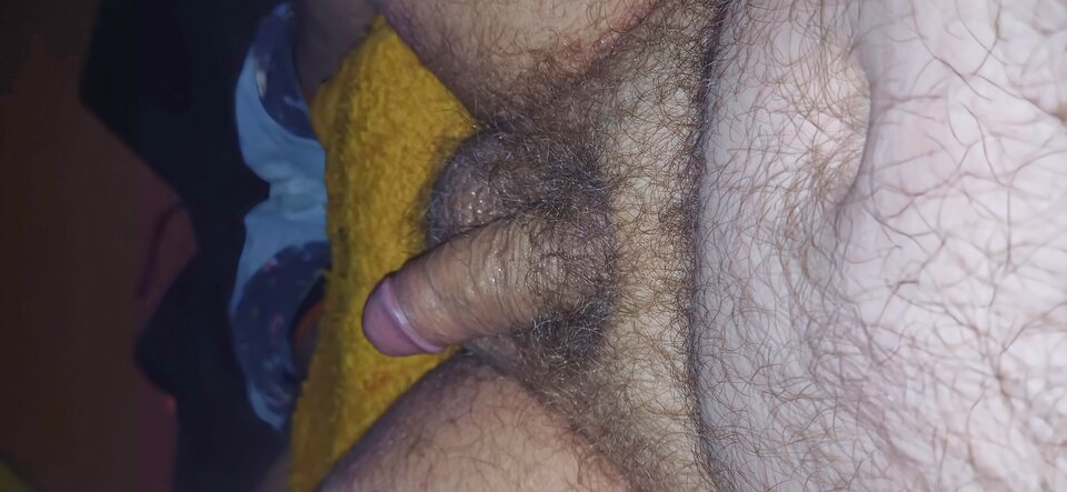 20240617_230411.jpg - PuszystyLubuskie