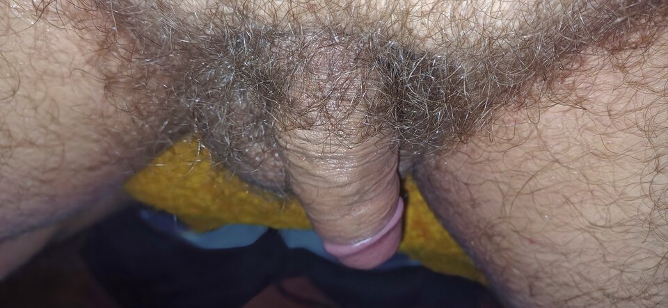 20240617_230423.jpg - PuszystyLubuskie