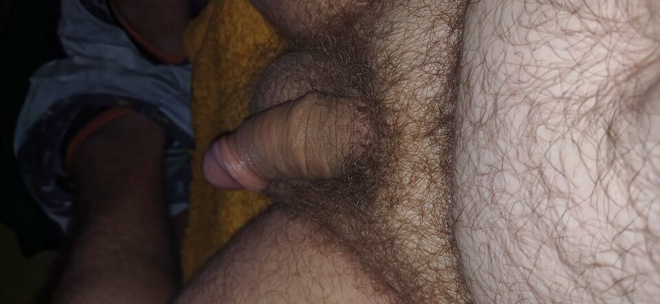 20240617_230035.jpg - PuszystyLubuskie