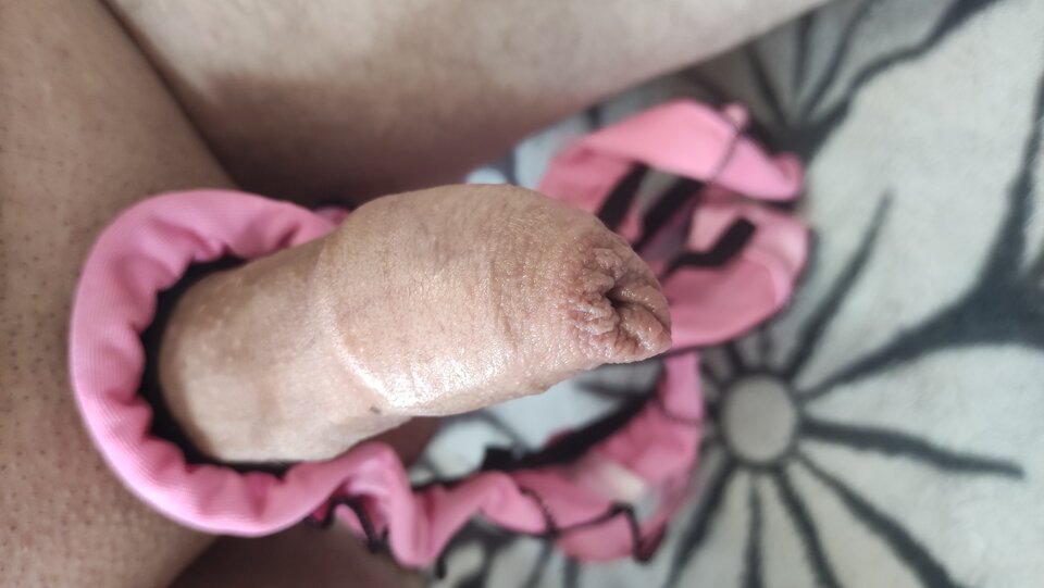 IMG_20240618_074443.jpg - Kriss7788