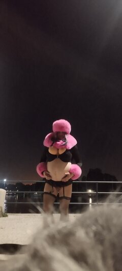 IMG_20240618_005533_11_1718692628234.jpg