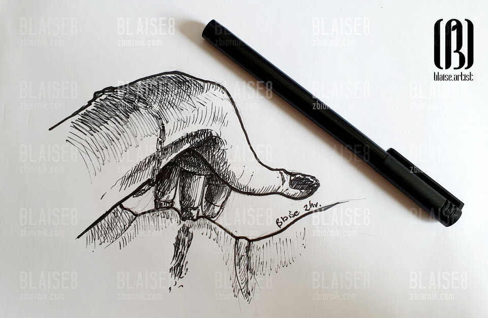 Art. No. 279 - blaise8