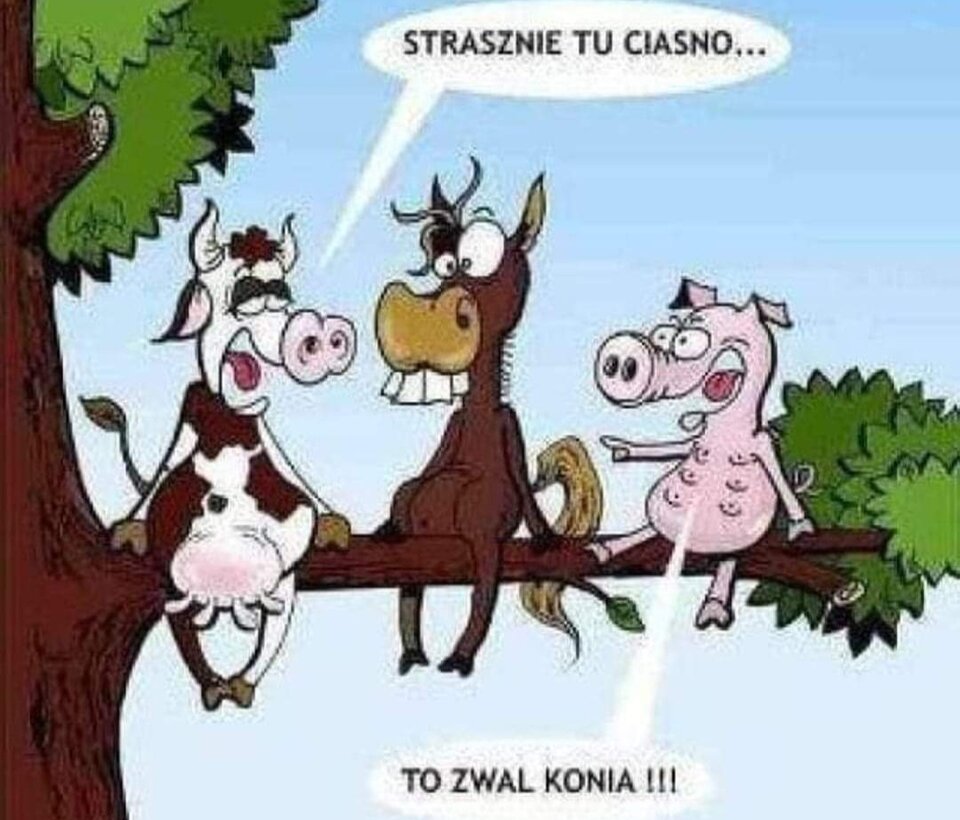 Screenshot_20240618_164526_Facebook.jpg - NiezbytRozgarniety