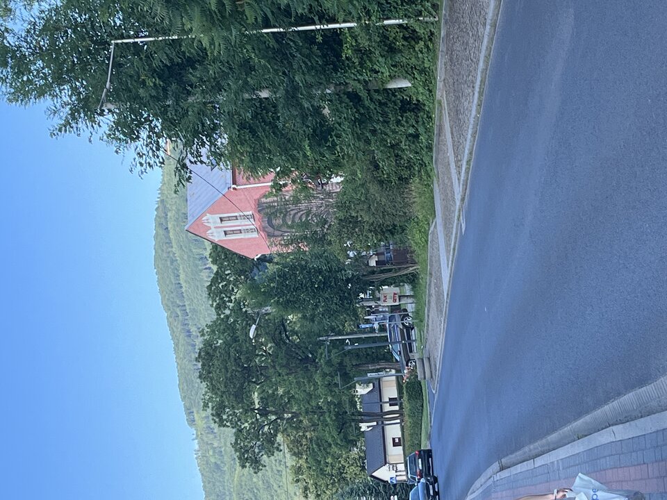 IMG_2348.jpeg - tom745