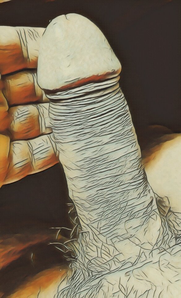 20240618_155438.jpg - wrocarek50