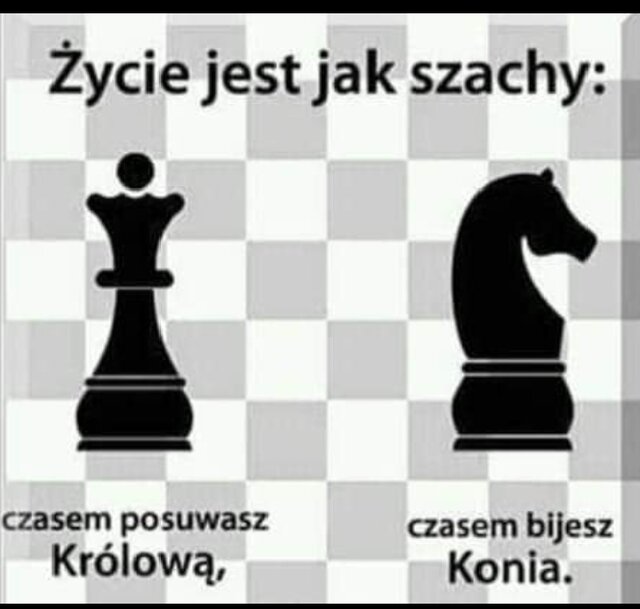 1718786627781.jpg - Bzyki2424