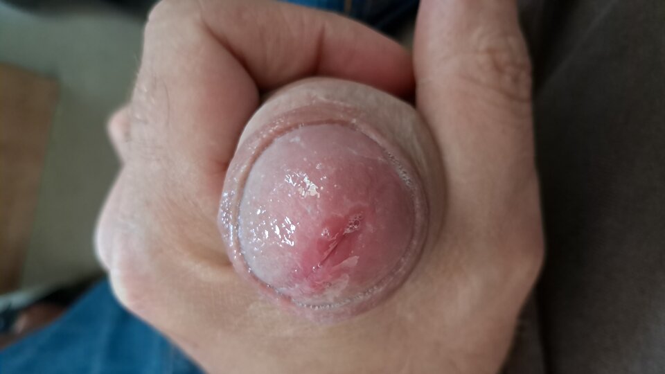 1000008158.jpg - kootas