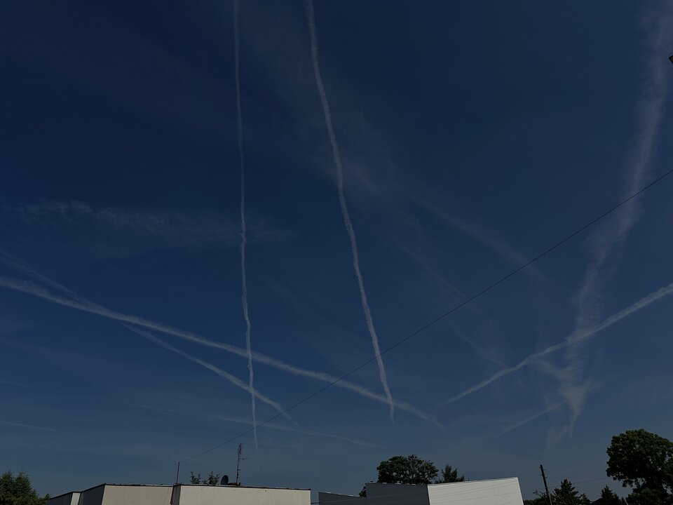 IMG_1827.jpg - Fanpach