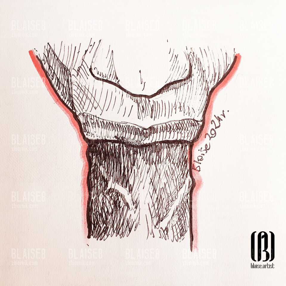 Art. No. 280 - blaise8