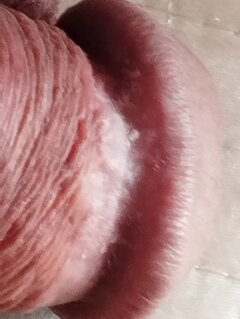 IMG_20240620_073826.jpg