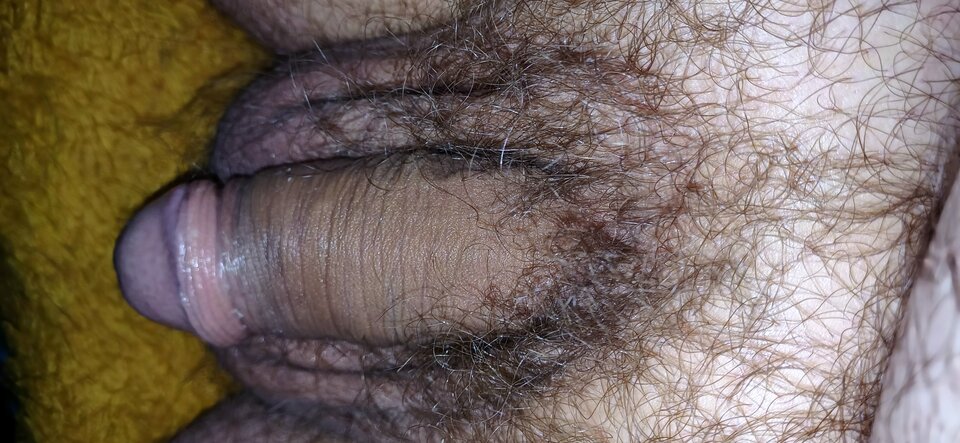 20240620_213217.jpg - PuszystyLubuskie