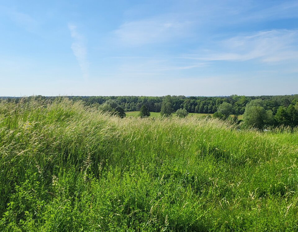 1000016218.jpg - ka_ma2013
