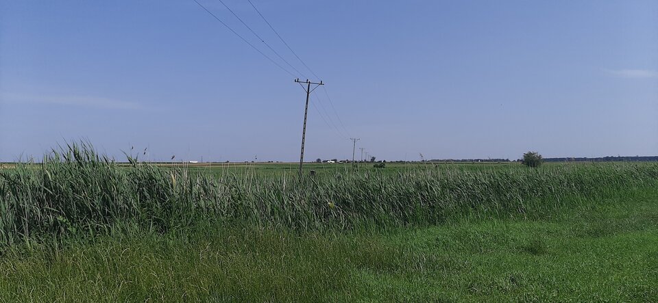 17189599470778154614229770384907.jpg - Mich1977