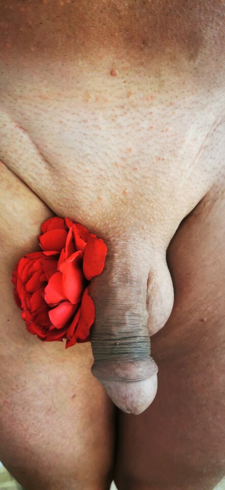 IMG_20240621_123745.jpg - Pan679