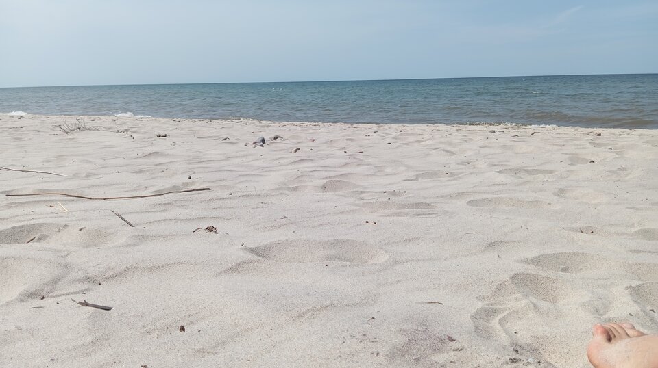 IMG_20240621_145047.jpg - Passion88