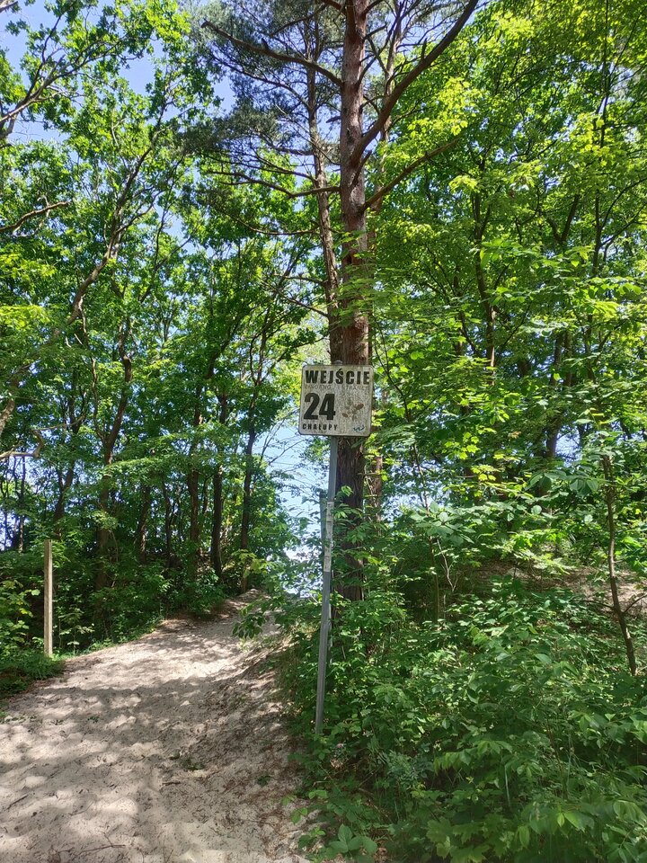 IMG_20240621_121344.jpg - BoscyMy