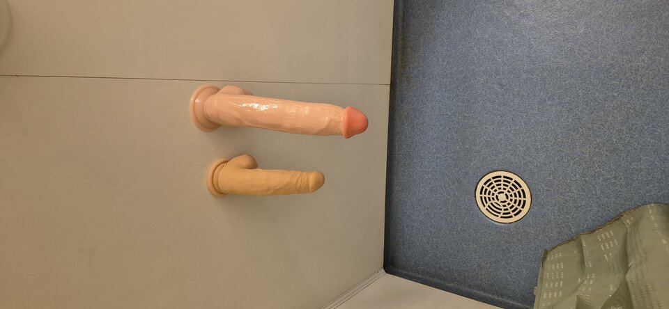 1000007518.jpg - lubitranswaw