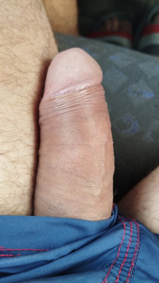 IMG-20230817-WA0000.jpeg - realnyprzeworsk