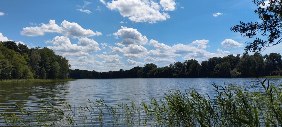 IMG_20240616_132217.jpg - torii99