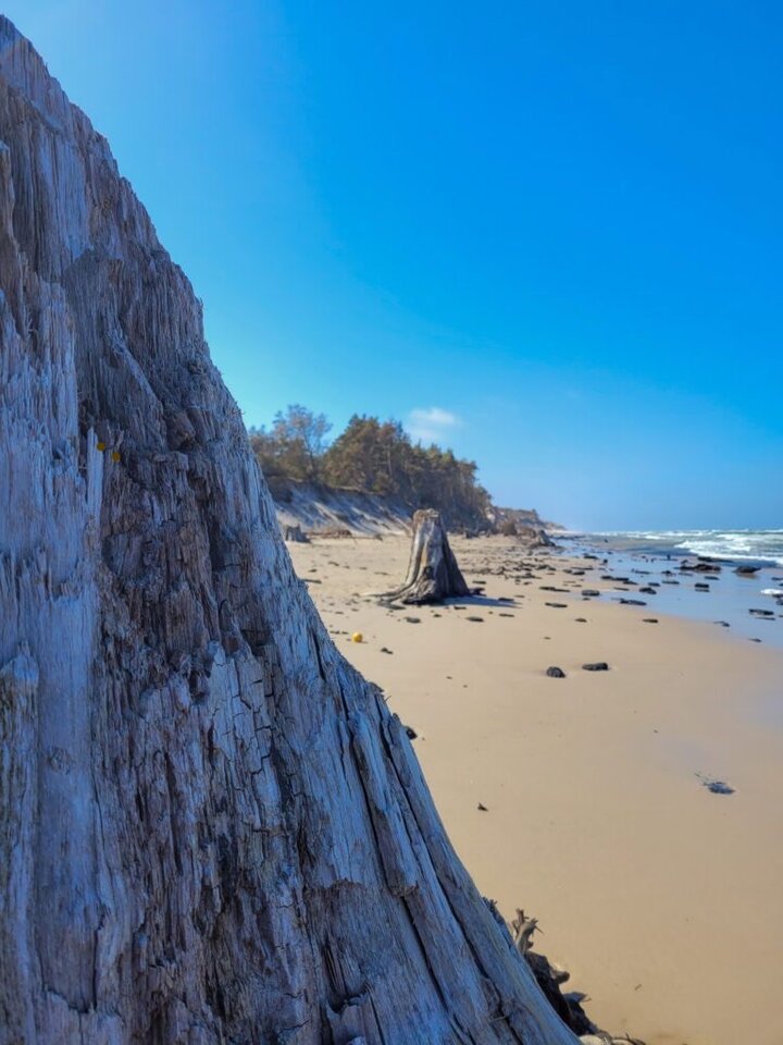 20220514_103513-768x1024.jpg - NiegrzecznyWR